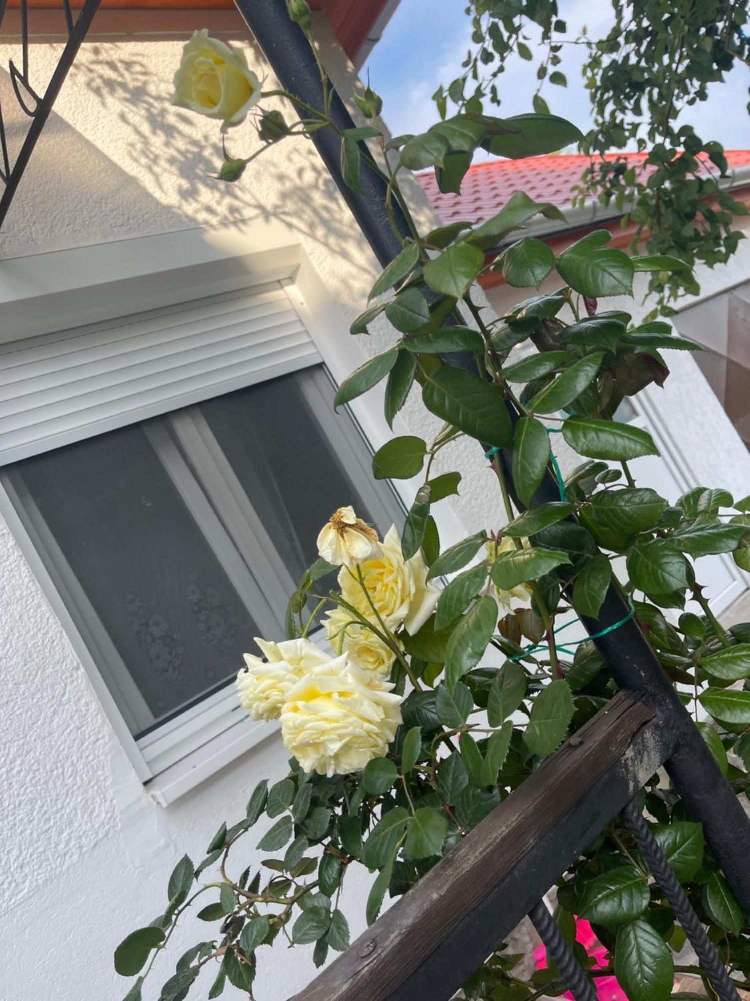Valentina Apartman Balatonmáriafürdő 外观 照片