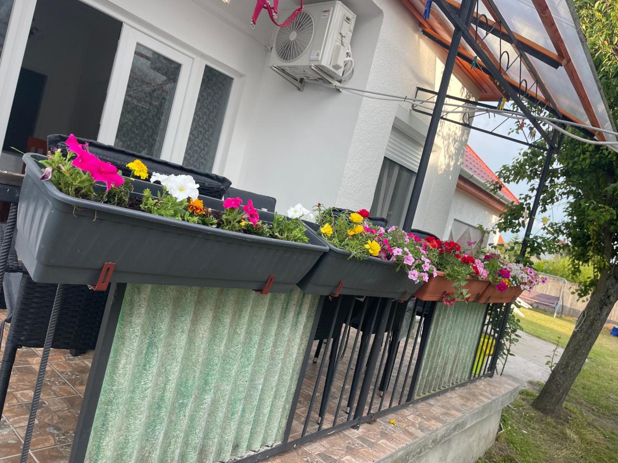 Valentina Apartman Balatonmáriafürdő 外观 照片